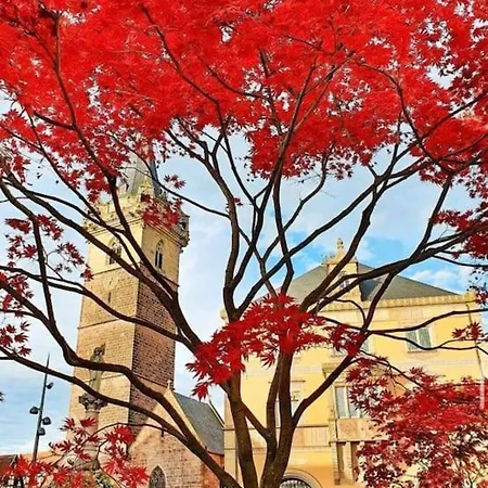 Apartament L'appar't - Centre Historique De *