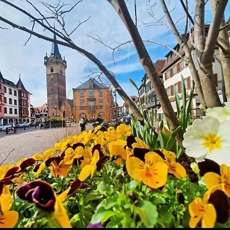 L'appar't - Centre Historique De