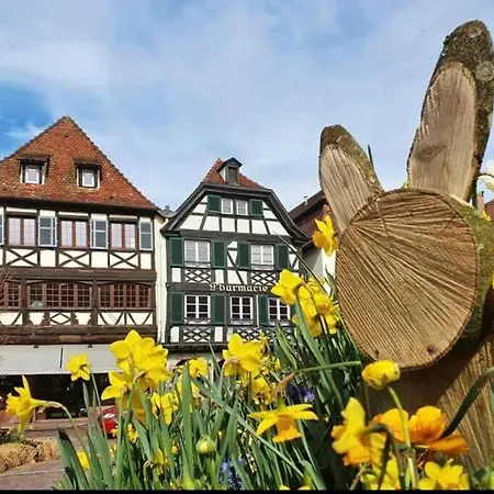 L'appar't - Centre Historique De Apartament Obernai