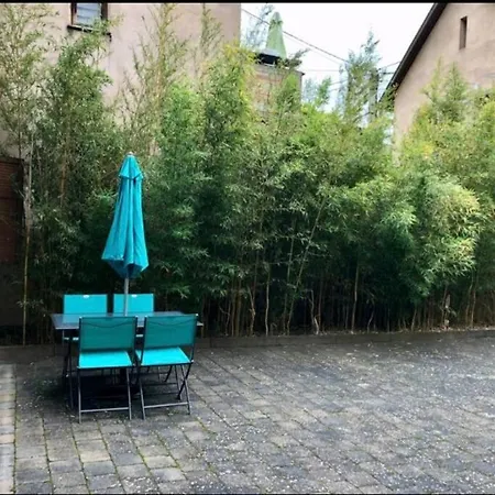 Appartement L'appar't - Centre Historique De Obernai
