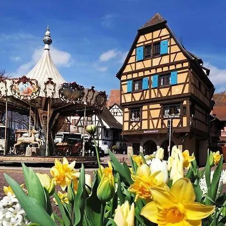 Apartament L'appar't - Centre Historique De *