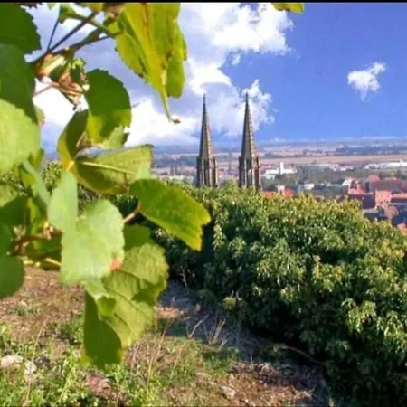 L'appar't - Centre Historique De
