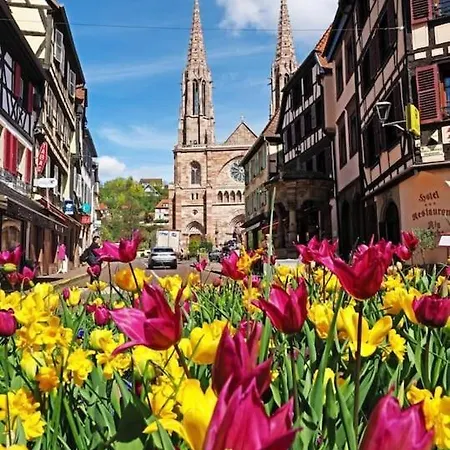 L'appar't - Centre Historique De Apartament *